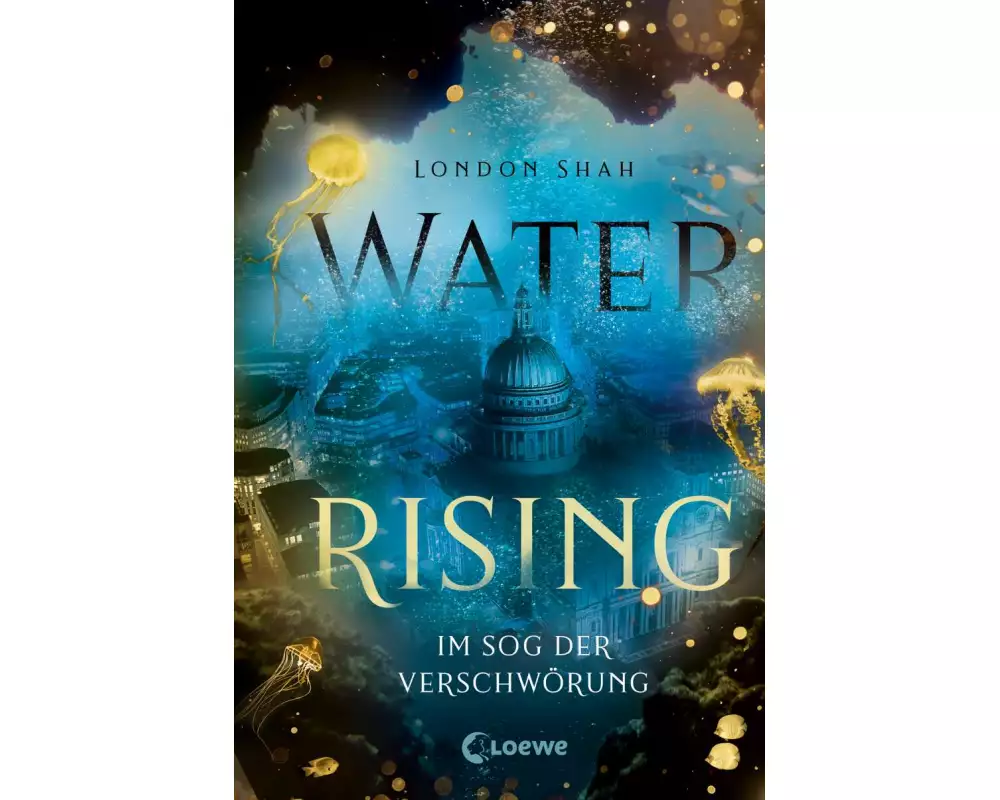 Water Rising (Band 2) - Im Sog der Verschwörung