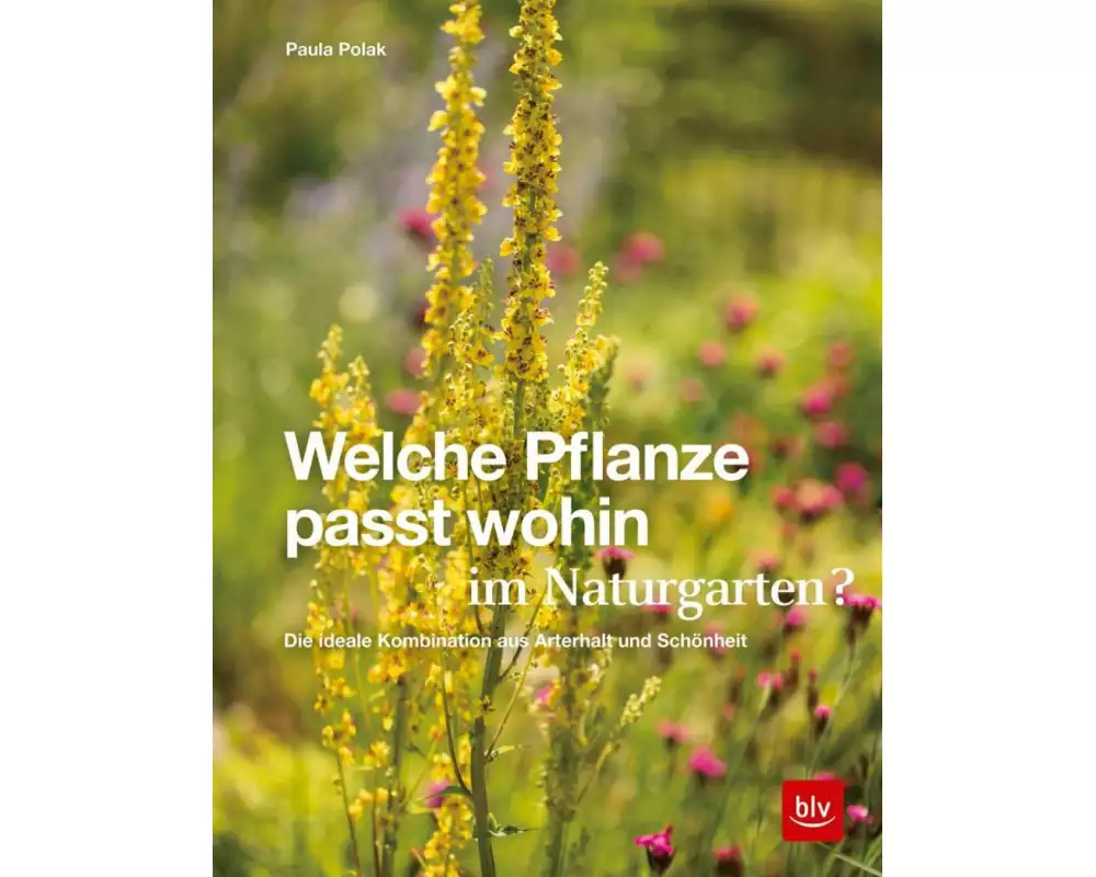 Welche Pflanze passt wohin im Naturgarten?