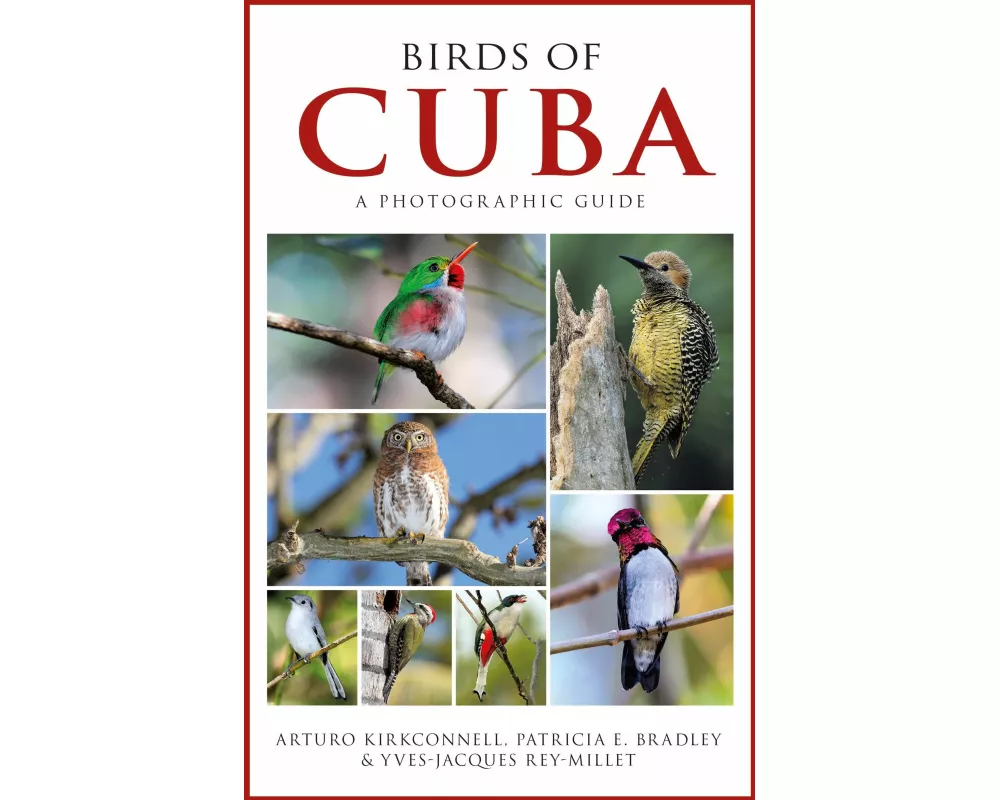 Photographic Guide to the Birds of Cuba