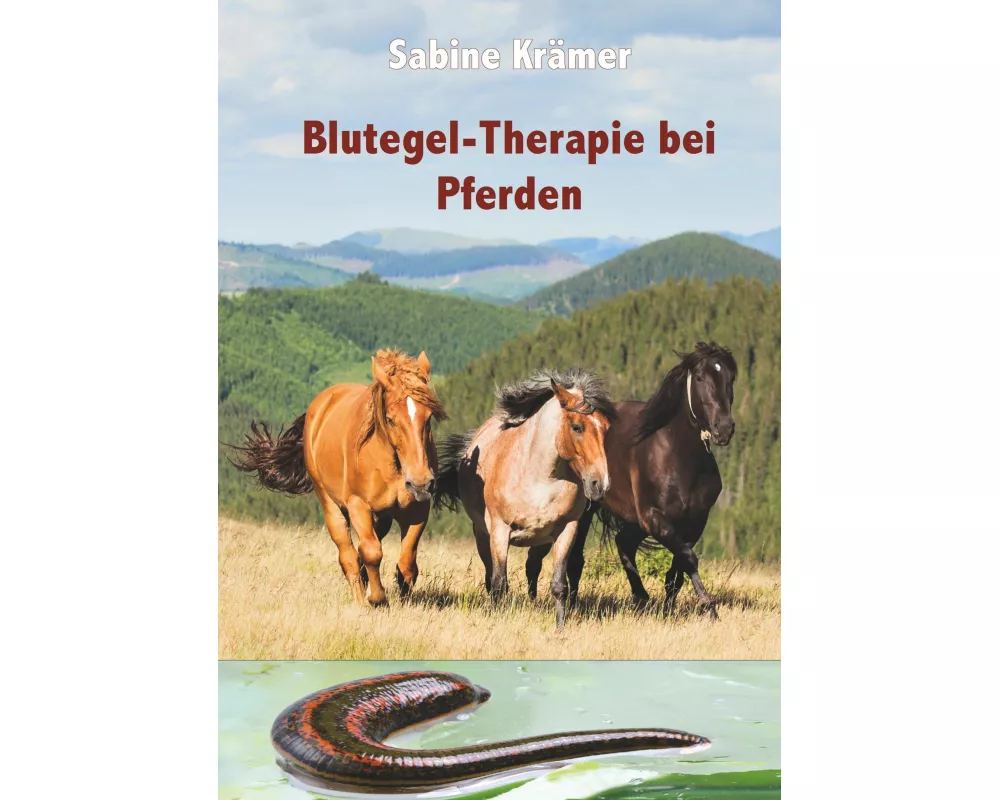 Blutegel-Therapie bei Pferden