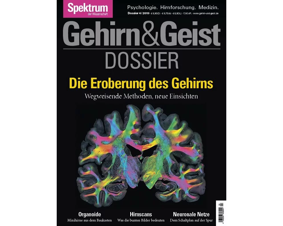 Die Eroberung des Gehirns