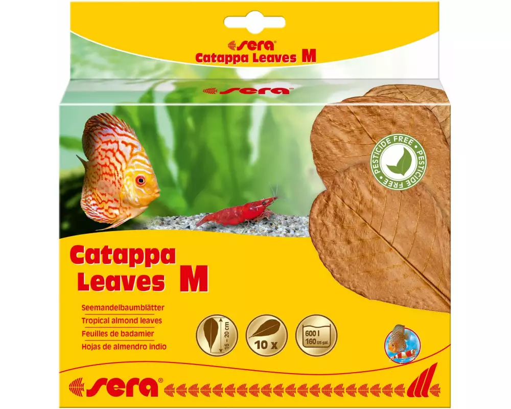 sera Wasseraufbereiter Catappa Leaves M, 10 Stück