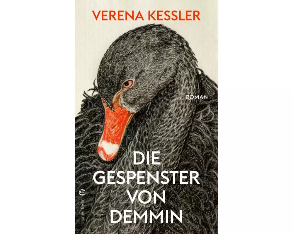 Die Gespenster von Demmin
