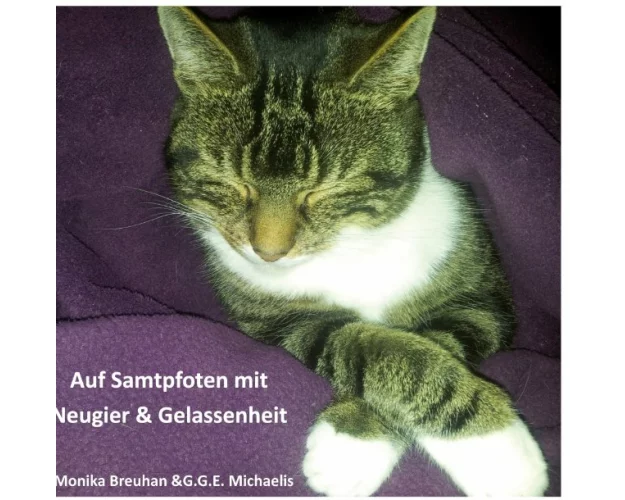 Auf Samtpfoten mit Neugier & Gelassenheit