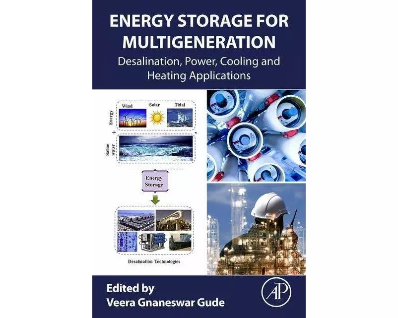 Energy Storage for Multigeneration