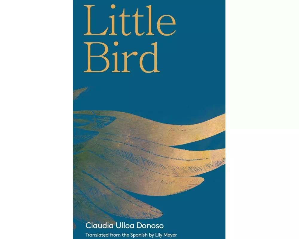 Little Bird