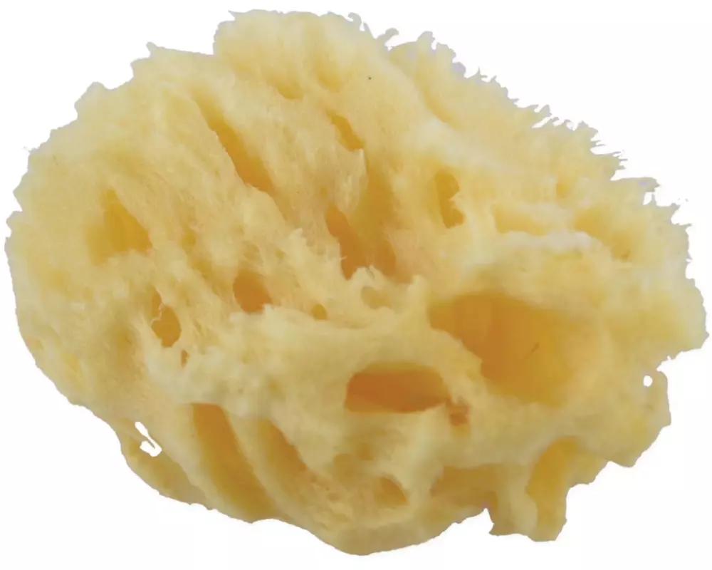 Frina Tafelwischer Natur 5 cm