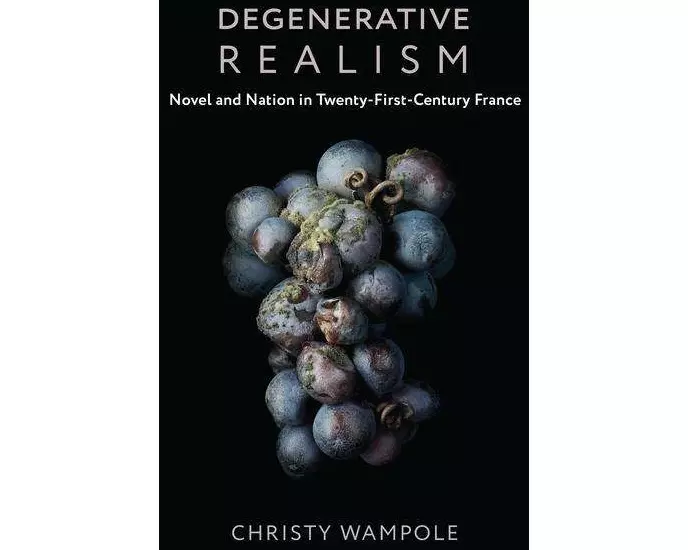 Degenerative Realism