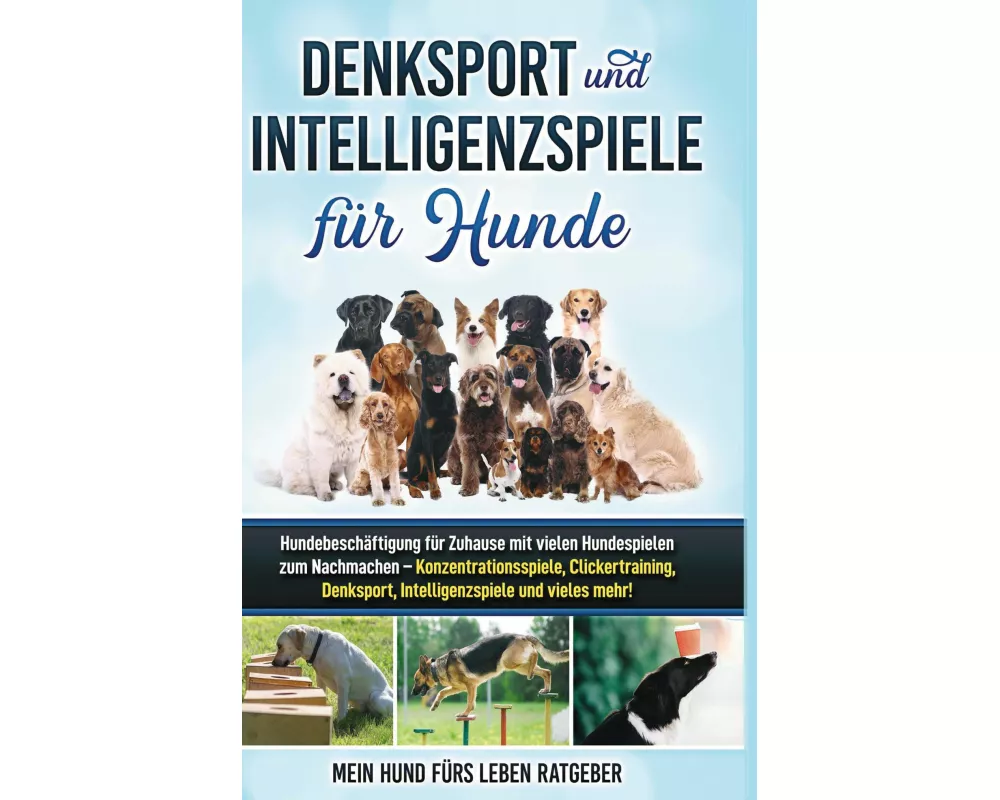 Denksport und Intelligenzspiele für Hunde
