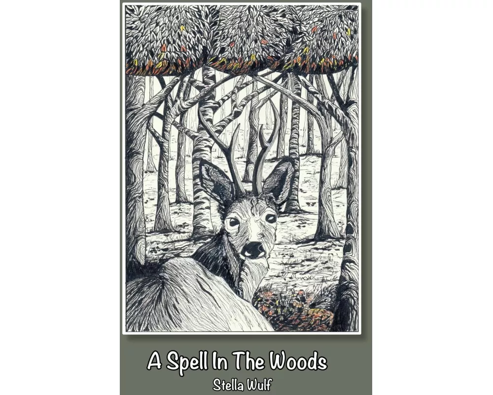 A Spell in The Woods