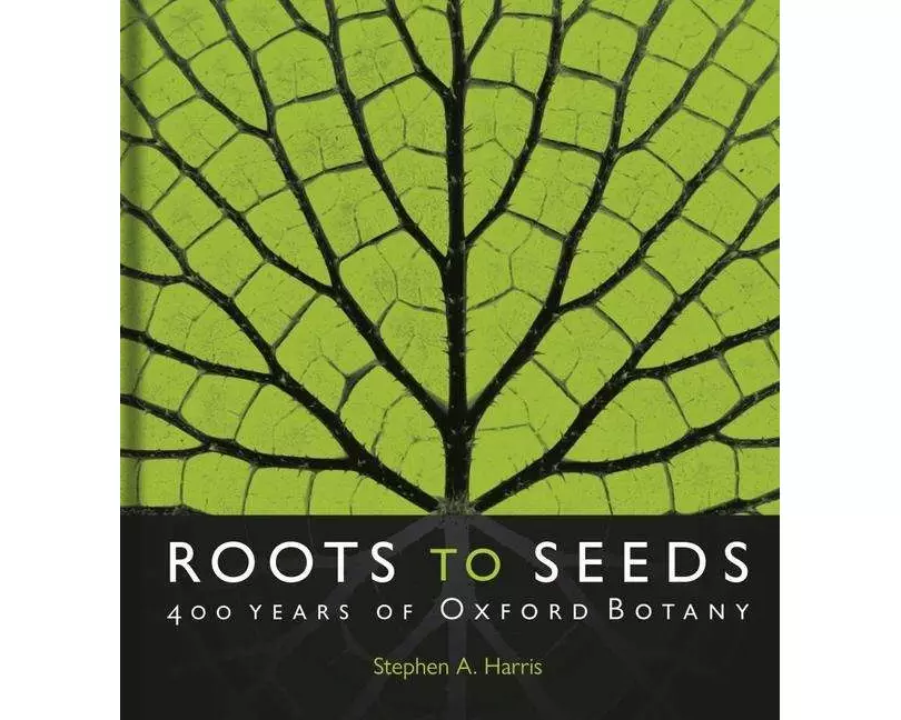 Roots to Seeds