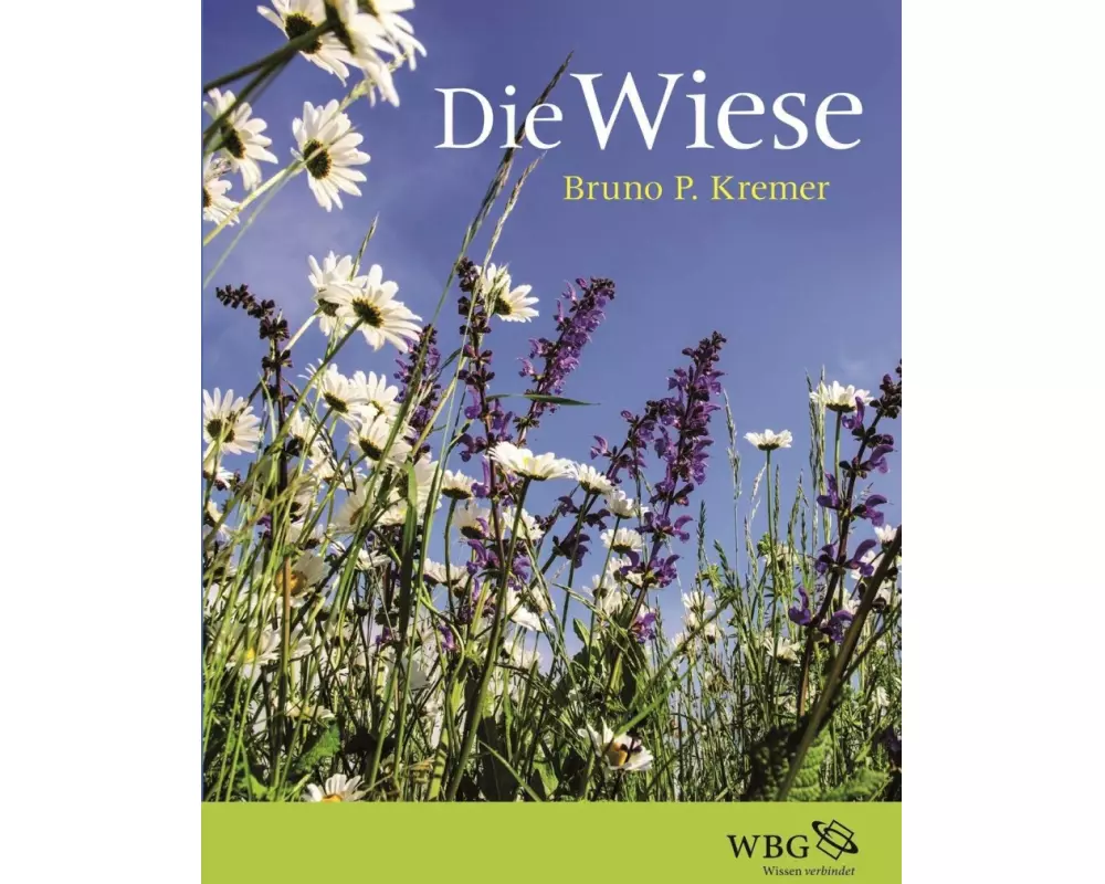 Die Wiese
