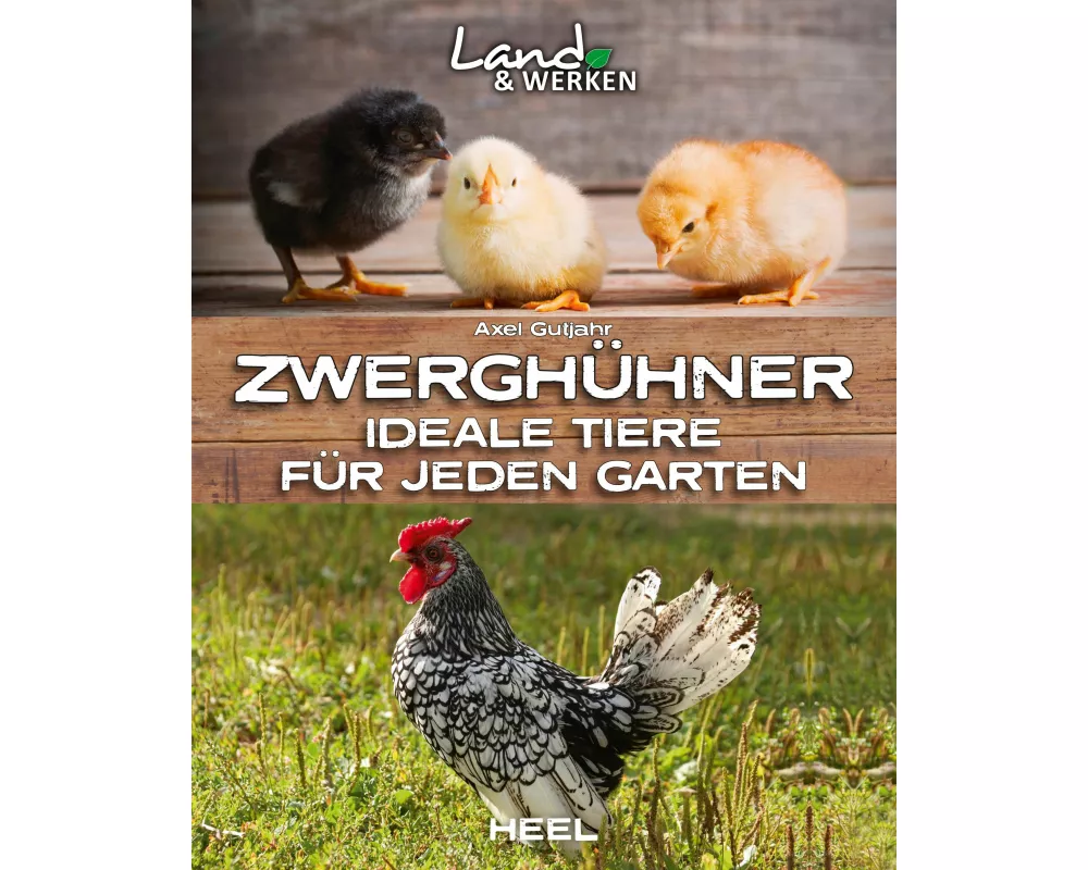 Zwerghühner: Ideale Tiere für jeden Garten