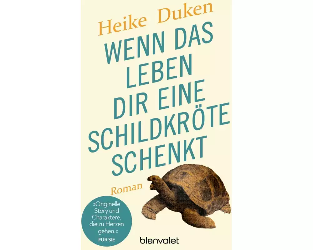 Wenn das Leben dir eine Schildkröte schenkt