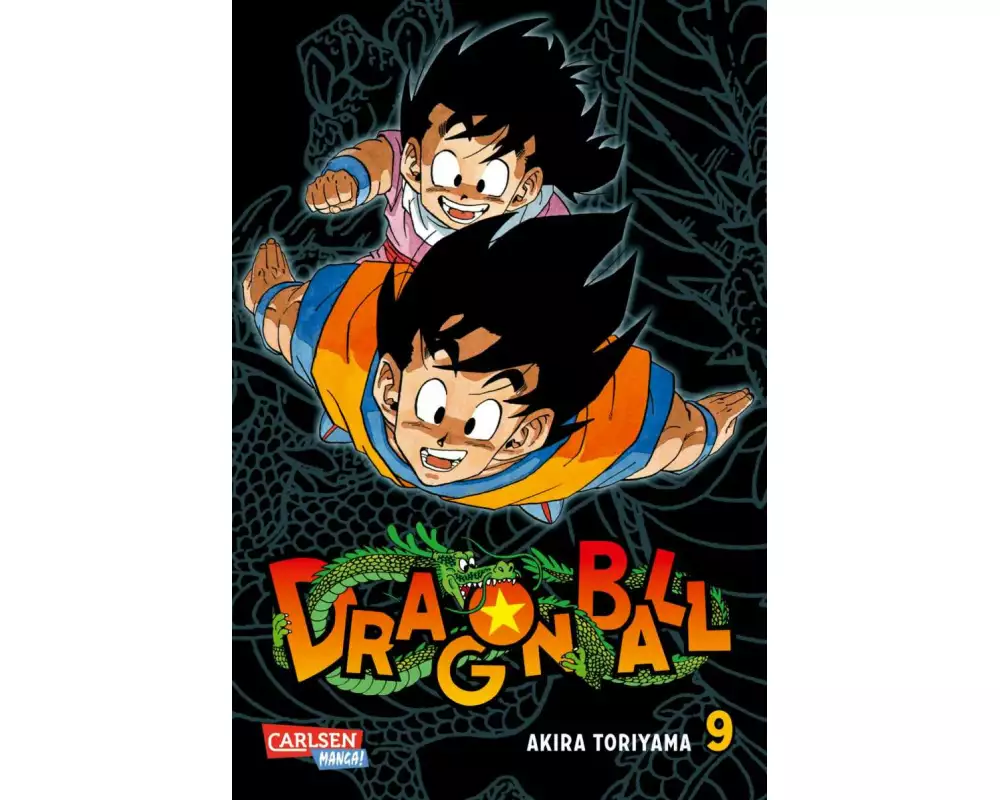 Dragon Ball Massiv 9