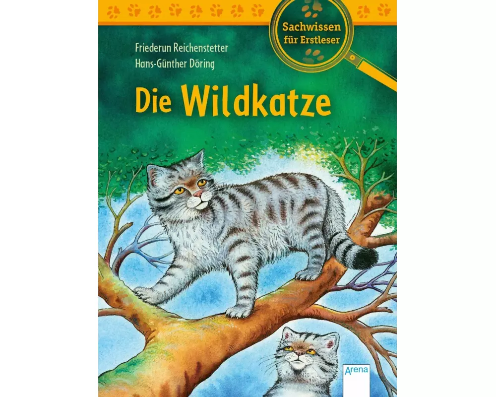 Die Wildkatze