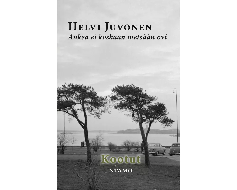 Aukea ei koskaan metsään ovi