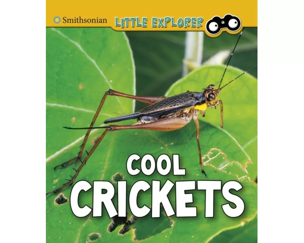 Cool Crickets