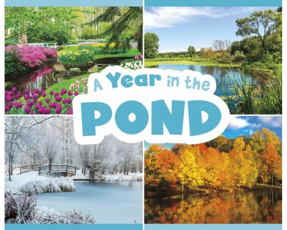 A Year in the Pond