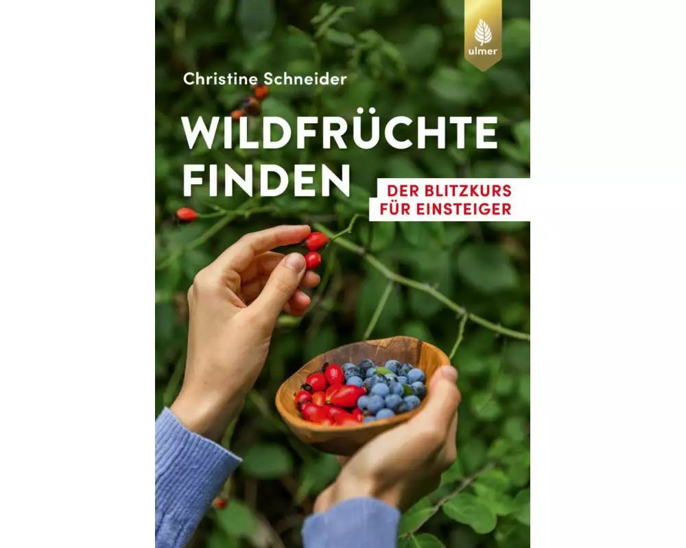 Wildfrüchte finden