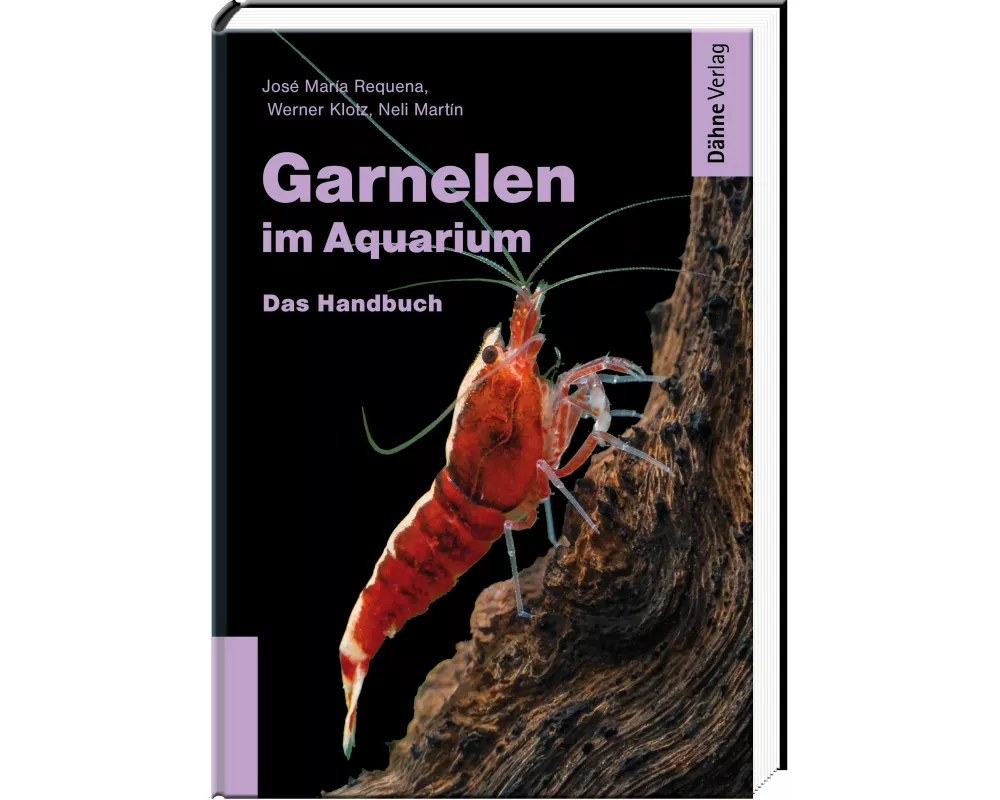 Garnelen im Aquarium