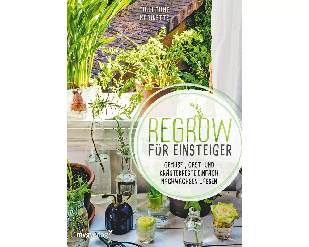 Regrow für Einsteiger