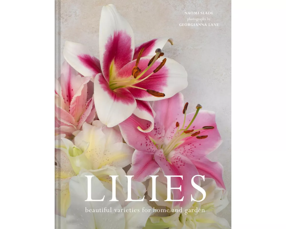 Lilies