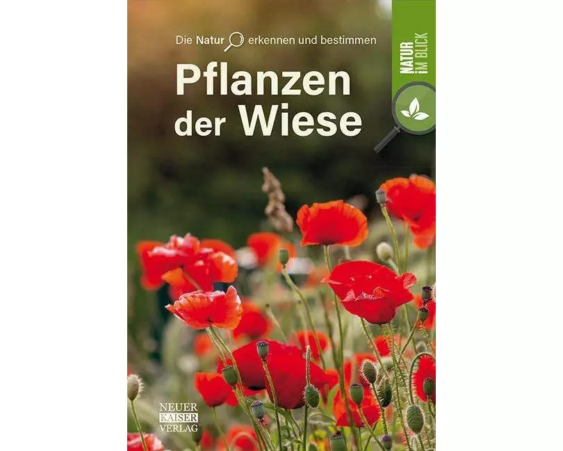 Pflanzen der Wiese