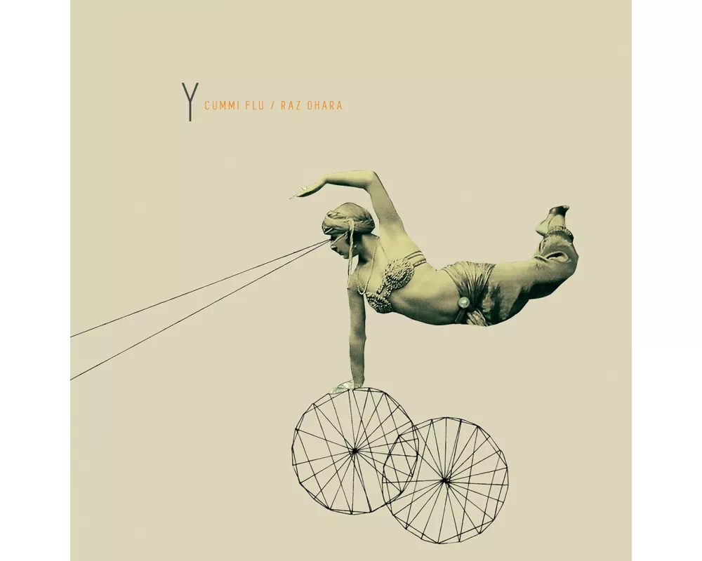 Y