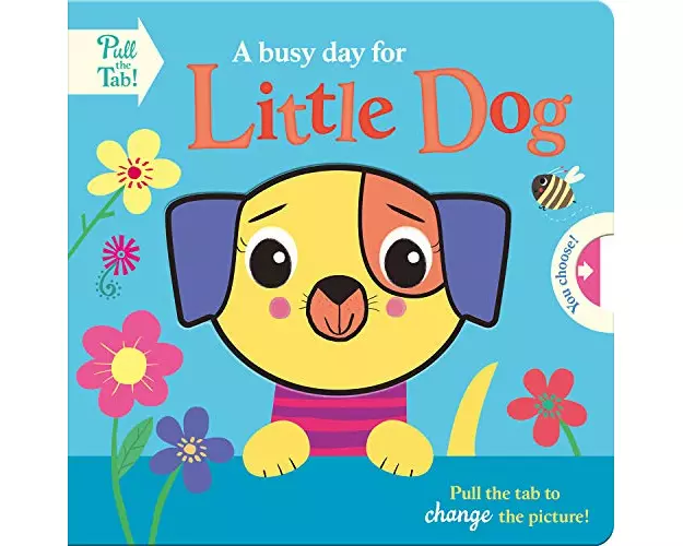 A busy day for Little Dog