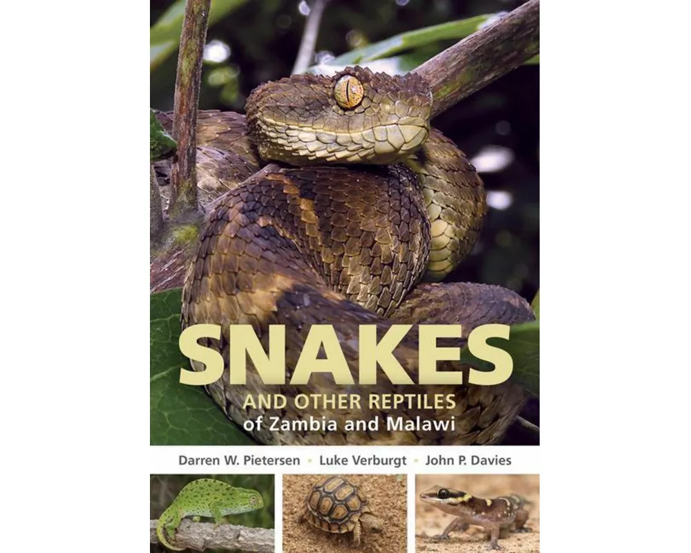 Field Guide to Snakes and other Reptiles of Zambia and Malawi