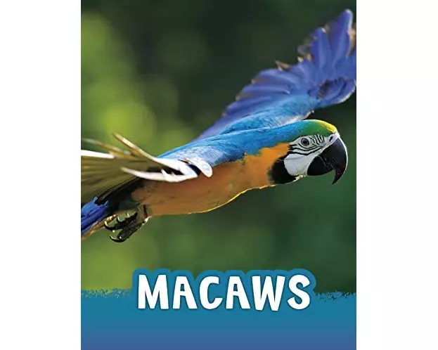 Macaws