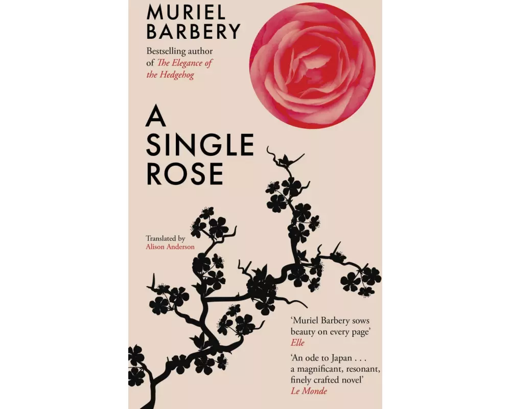A Single Rose