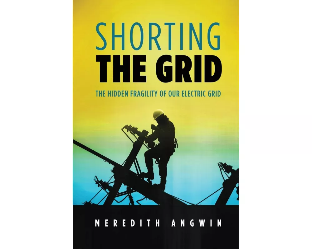 Shorting the Grid