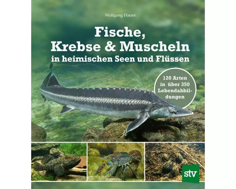 Fische, Krebse & Muscheln in heimischen Seen und Flüssen