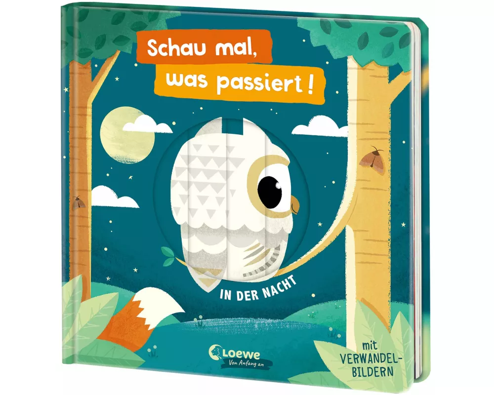 Schau mal, was passiert! In der Nacht