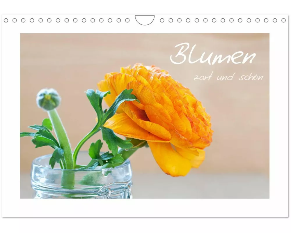 Blumen zart und schön (Wandkalender 2026 DIN A4 quer), CALVENDO Monatskalender