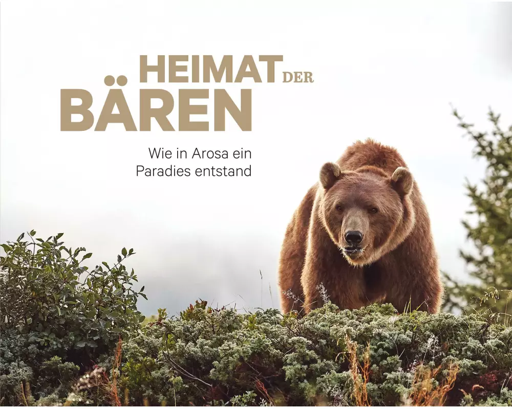 Heimat der Bären