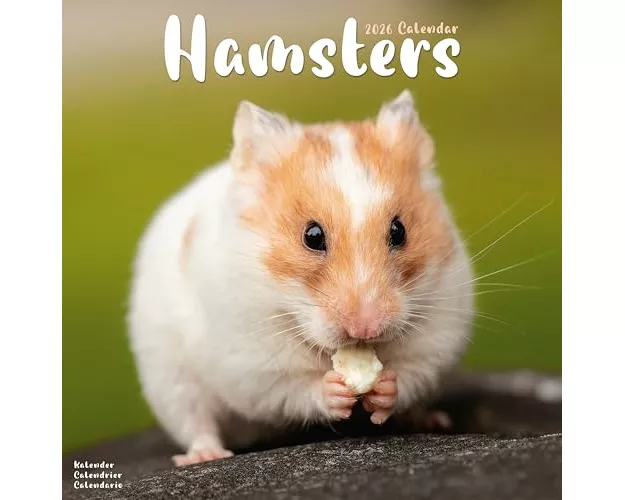 Hamsters Calendar 2026 Square Animal Wall Calendar - 16 Month