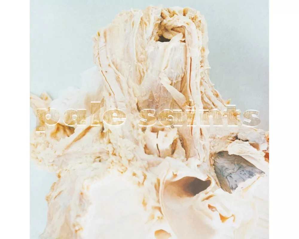 In Ribbons (30th Anniversary Edit.)