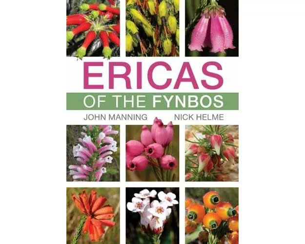 Ericas of the Fynbos