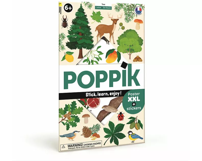 Sticker Lernposter Bäume