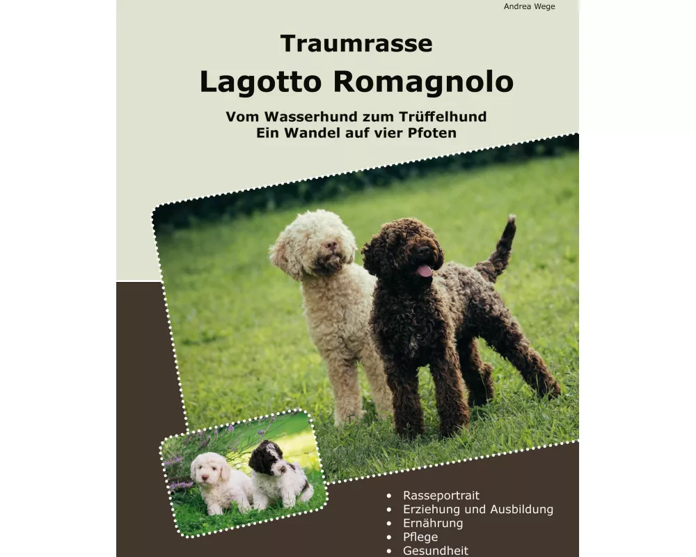 Traumrasse Lagotto Romagnolo