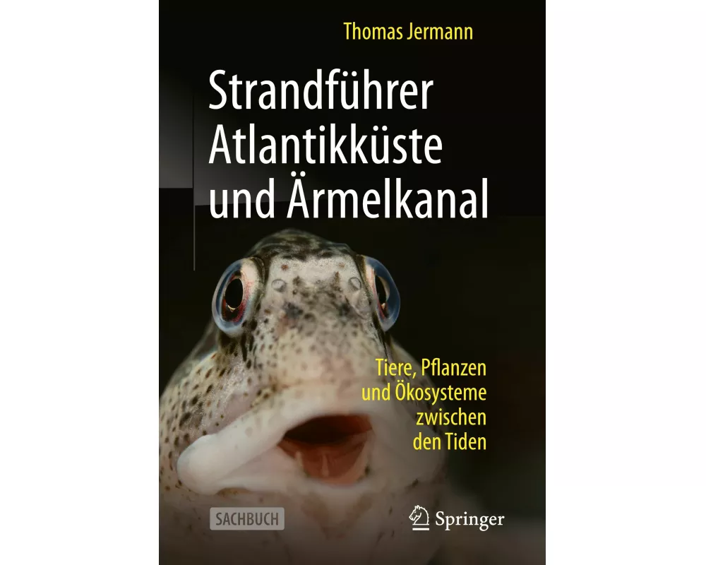 Strandführer Atlantikküste und Ärmelkanal