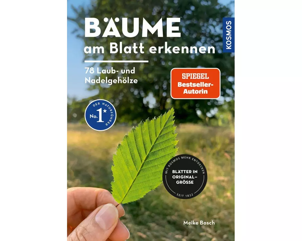 Bäume am Blatt erkennen - 78 Laub- und Nadelgehölze. Blätter in Originalgröße