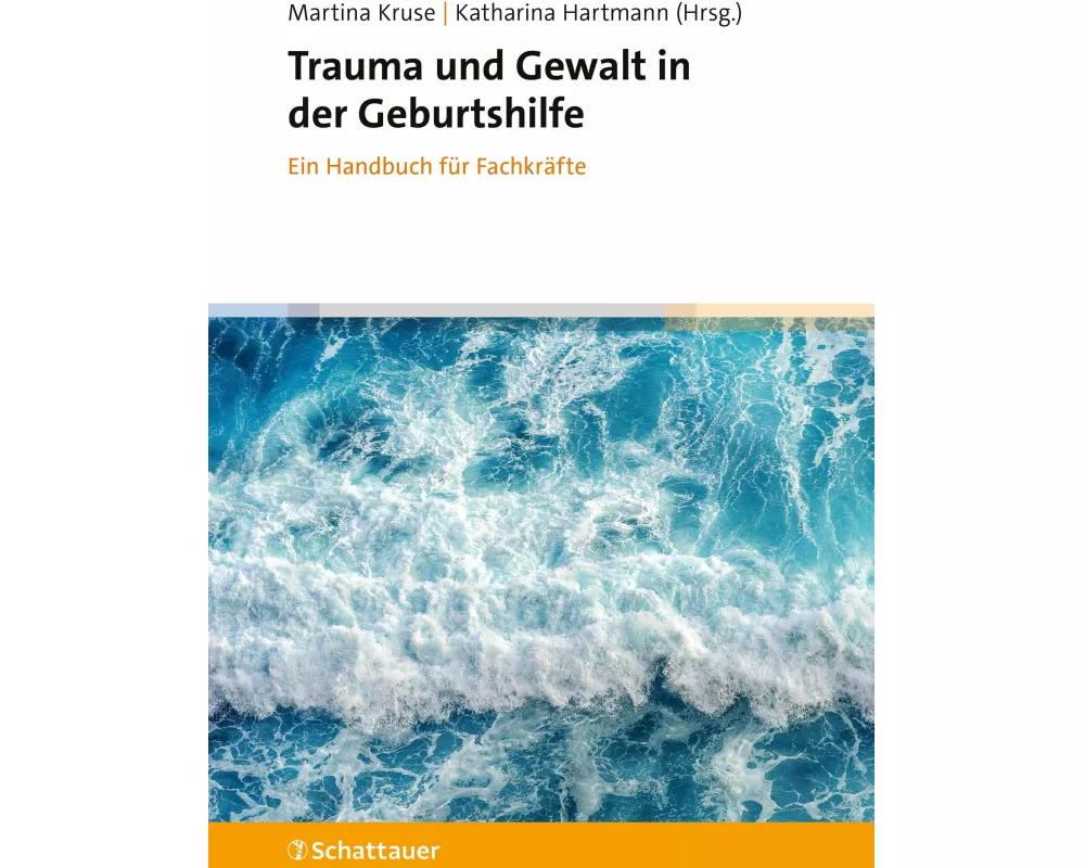 Trauma und Gewalt in der Geburtshilfe