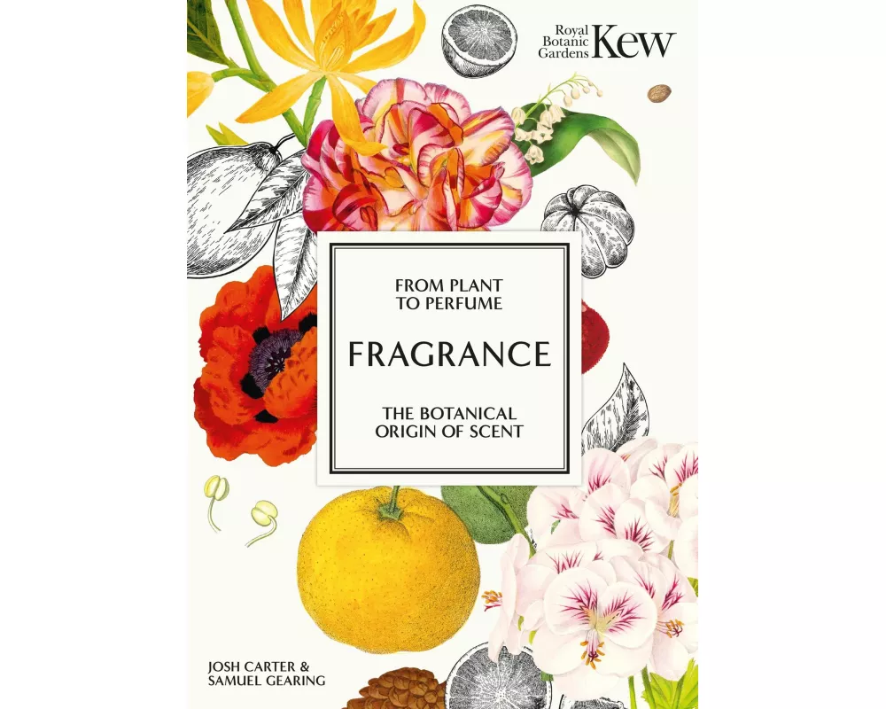 Fragrance