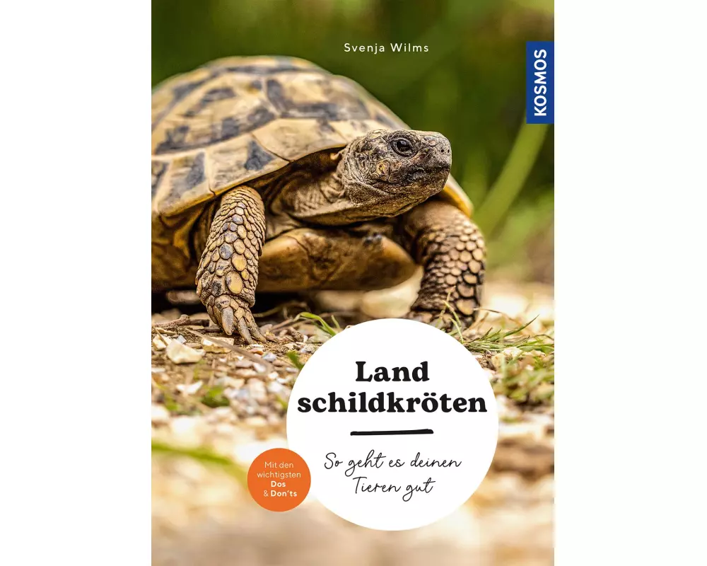 Landschildkröten