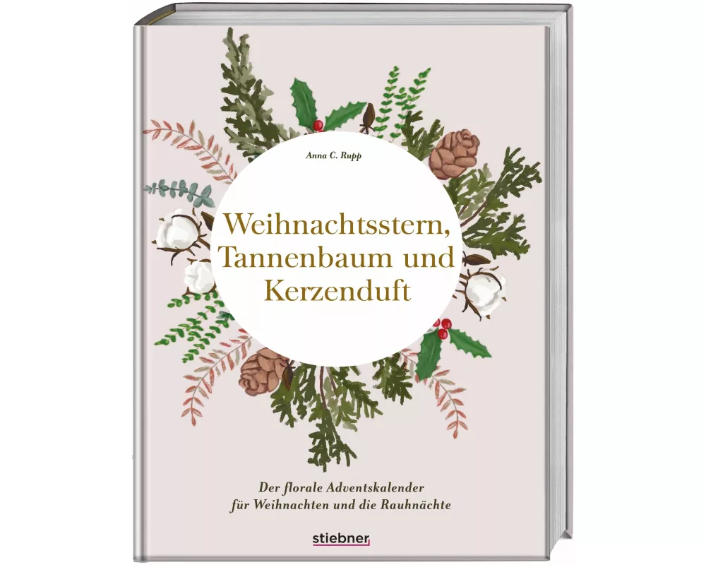 Weihnachtsstern, Tannenbaum und Kerzenduft