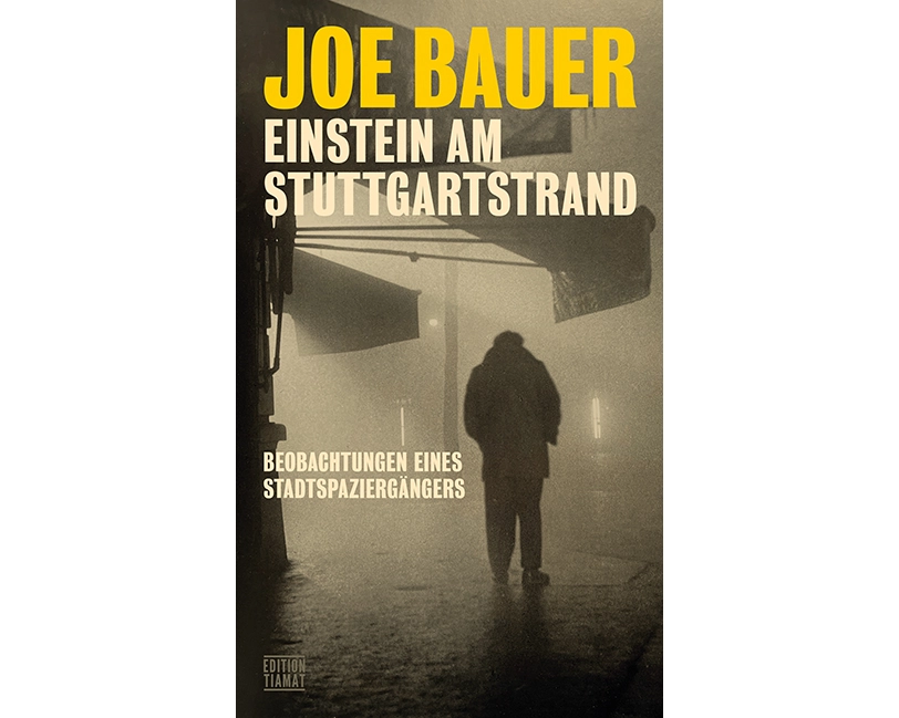 Einstein am Stuttgartstrand